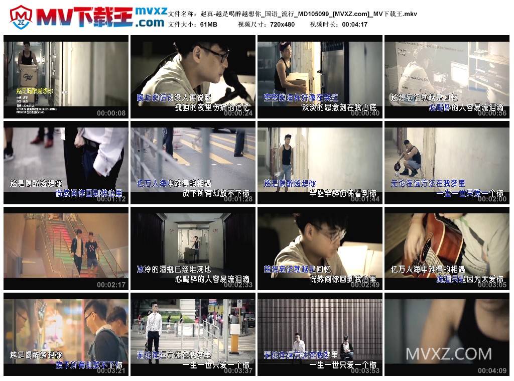 赵真-越是喝醉越想你_国语_流行_MD105099